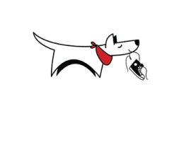 sneakersandpaws